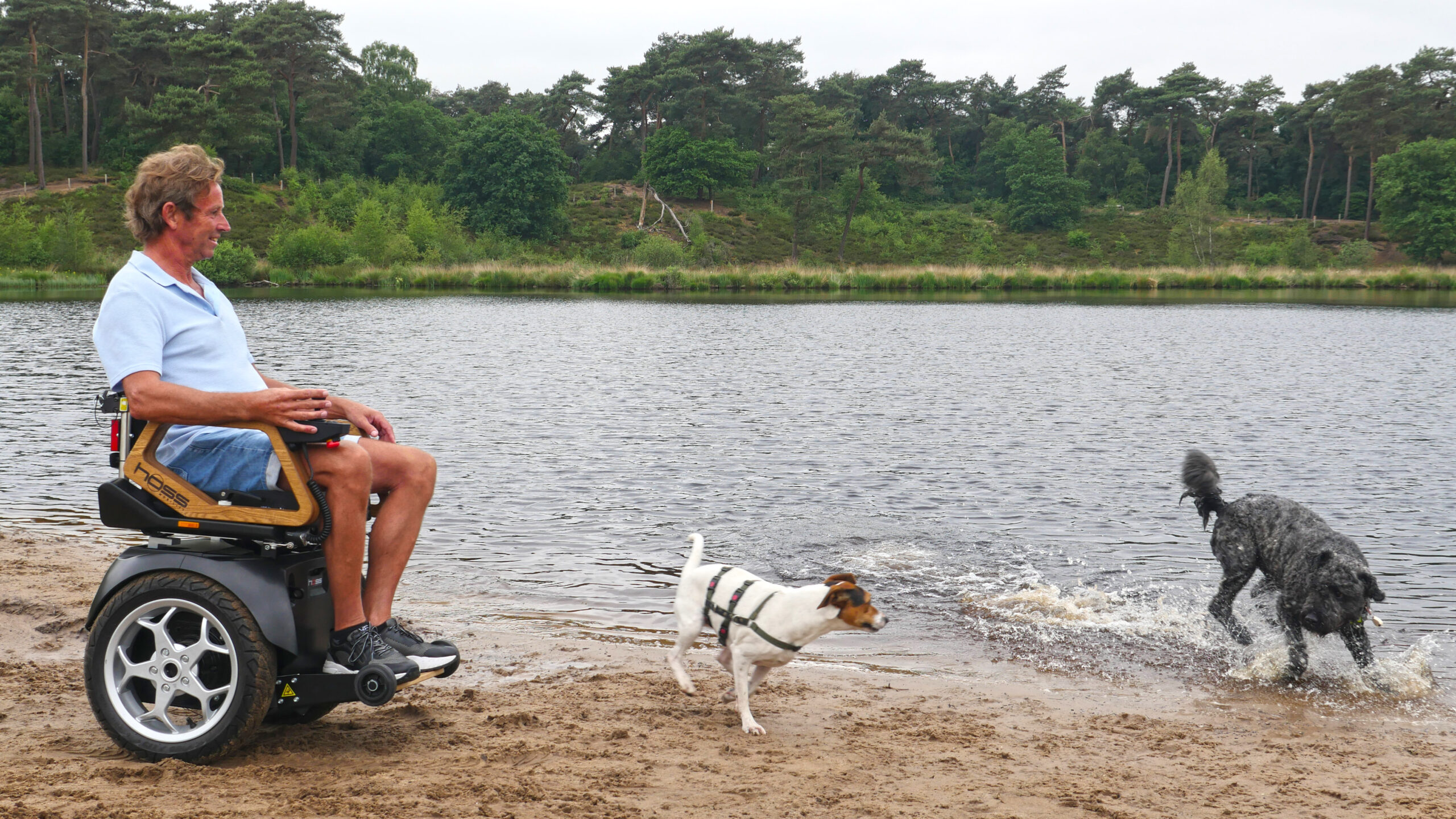 Man in Hoss-rolstoel op zandstrand aan bosmeer met honden in het water